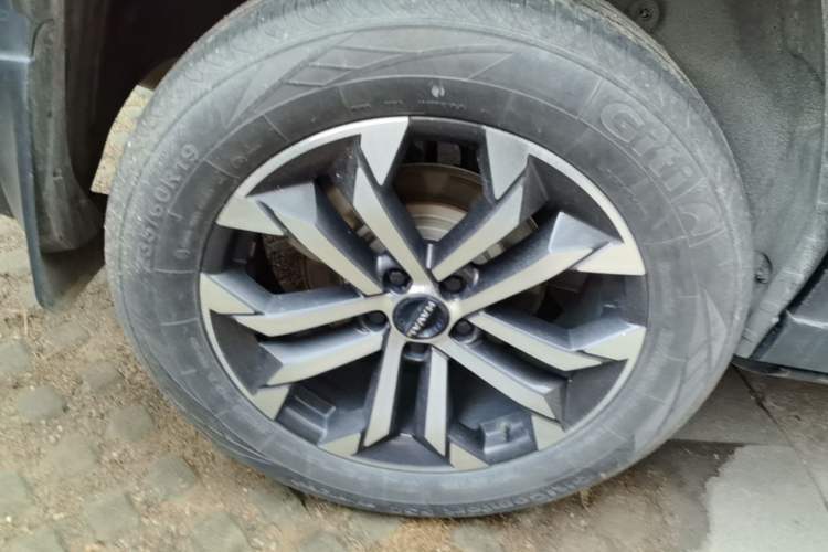 Used Haval H Dog 2023 2.0T All-Wheel-Drive Chaoye Plus Exterior 3
