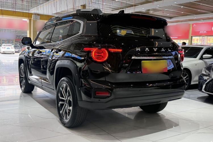 Used Haval H Dog 2023 2.0T Two-Wheel Drive Chaoye Version Plus Exterior 3
