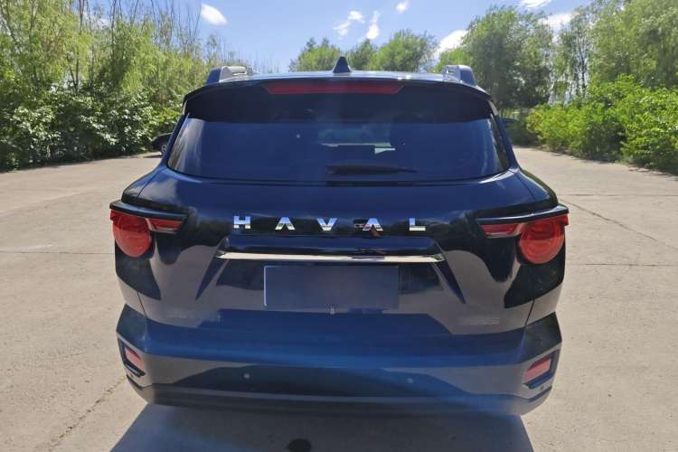 Used Haval H Dog 2023 2.0T Two-Wheel Drive Chaoye Version Plus Exterior 4