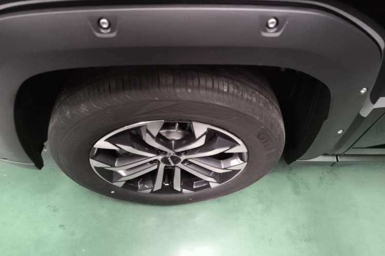 Used Haval H Dog 2023 2.0T All-Wheel-Drive Chaoye Plus Exterior 4