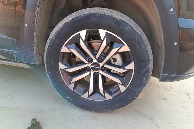 Used Haval H Dog 2023 2.0T All-Wheel-Drive Chaoye Plus Exterior 4