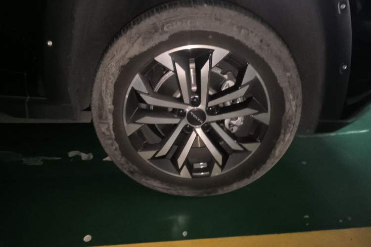 Used Haval H Dog 2023 2.0T All-Wheel-Drive Chaoye Plus Exterior 4