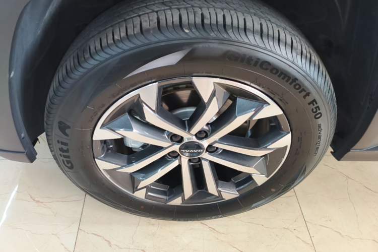 Used Haval H Dog 2023 1.5T Two-Wheel Drive Chao Ye Version Plus Exterior 4