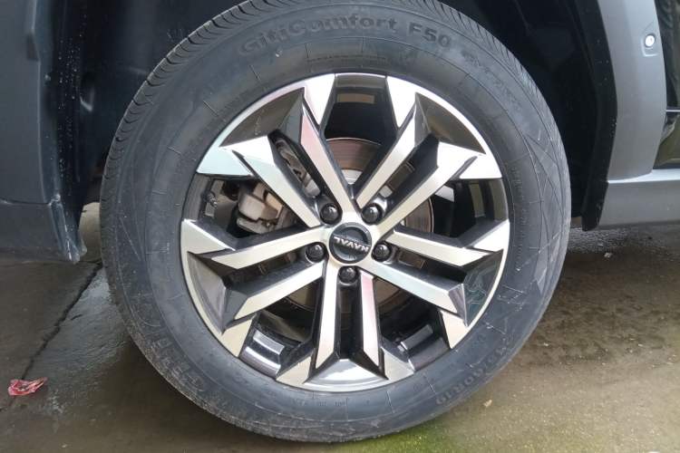 Used Haval H Dog 2023 1.5T Two-Wheel Drive Chao Ye Version Plus Exterior 5