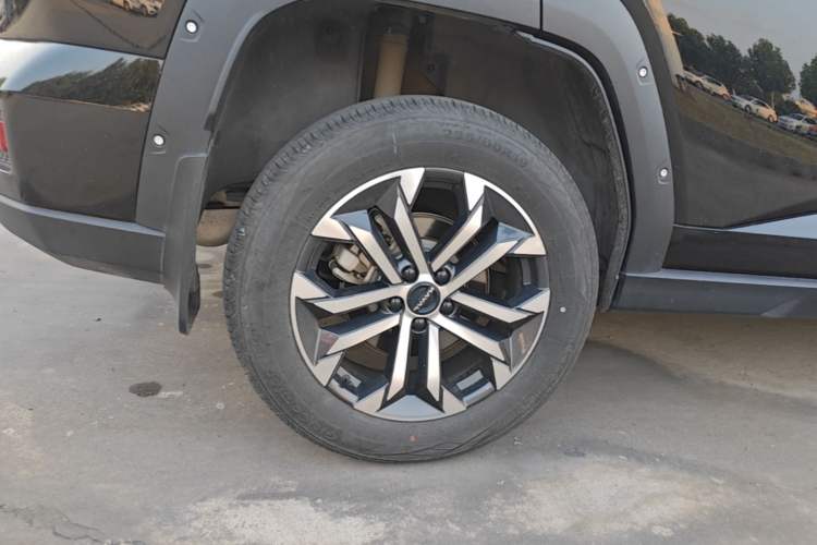 Used Haval H Dog 2023 2.0T Two-Wheel Drive Chaoye Version Plus Exterior 5