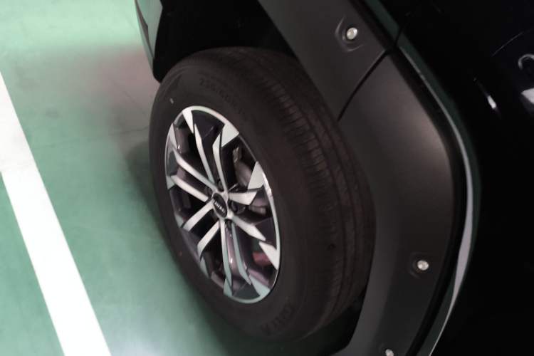 Used Haval H Dog 2023 2.0T All-Wheel-Drive Chaoye Plus Exterior 5