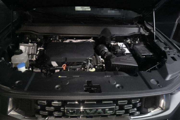 Used Haval H Dog 2023 2.0T All-Wheel-Drive Chaoye Plus Exterior 5