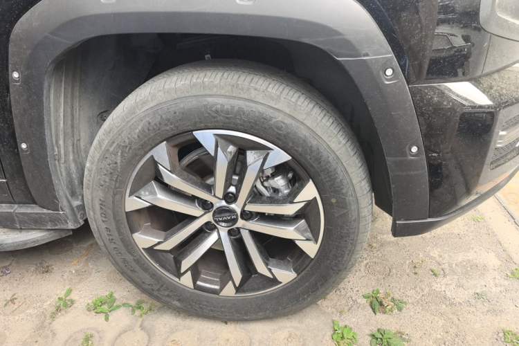 Used Haval H Dog 2023 2.0T Two-Wheel Drive Chaoye Version Plus Exterior 7