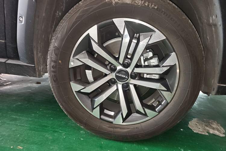 Used Haval H Dog 2023 1.5T Two-Wheel Drive Chao Ye Version Plus Exterior 7