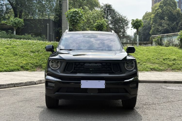 Used Haval H Dog 2023 2.0T Two-Wheel Drive Chaoye Version Plus Exterior 8