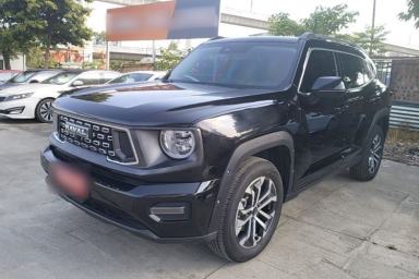 Used Haval H Dog 2023 1.5T Two-Wheel Drive Chao Ye Version Plus