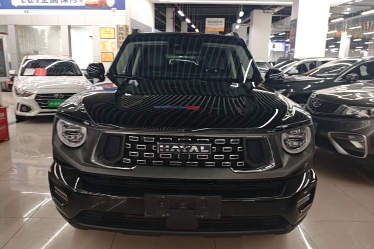 Used Haval H Dog 2023 1.5T Two-Wheel Drive Chao Ye Version Plus Front