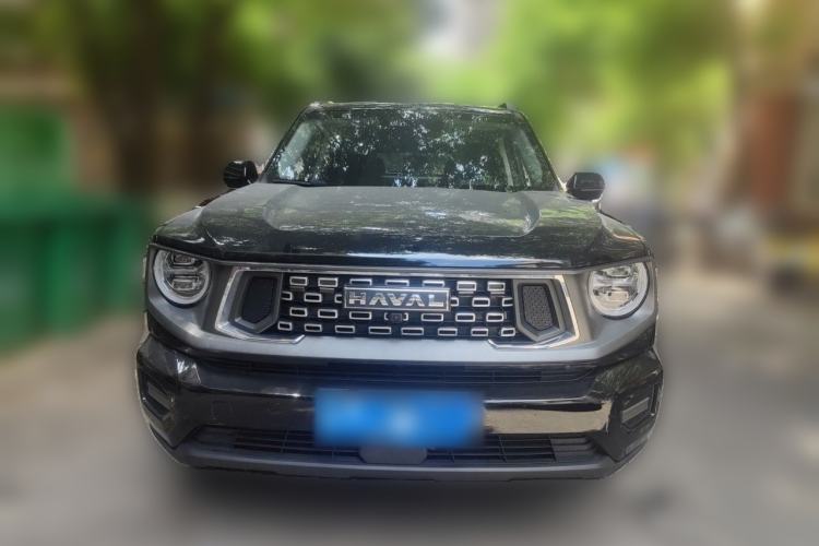 Used Haval H Dog 2023 2.0T Two-Wheel Drive Chaoye Version Plus Front
