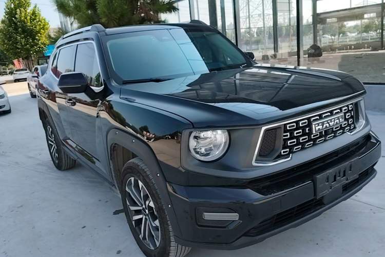 Used Haval H Dog 2023 2.0T Two-Wheel Drive Chaoye Version Plus Front Right 45 Deg
