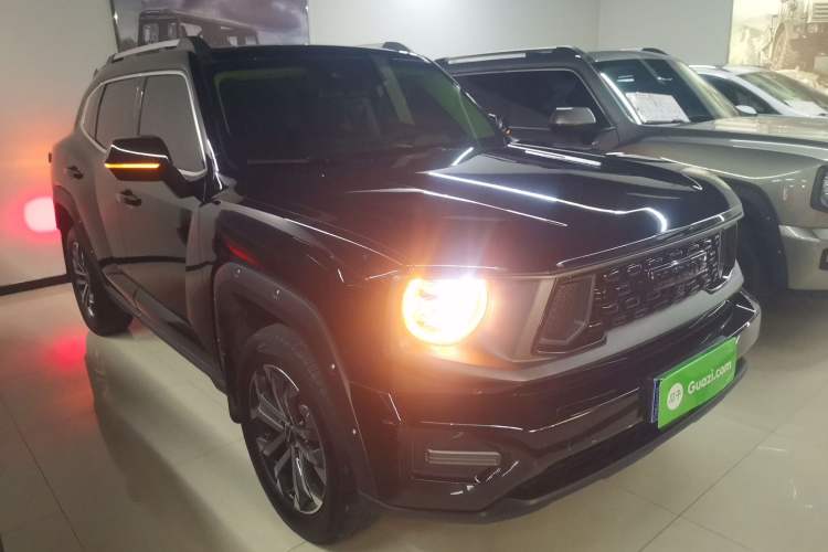 Used Haval H Dog 2023 2.0T Two-Wheel Drive Chaoye Version Plus Front Right 45 Deg