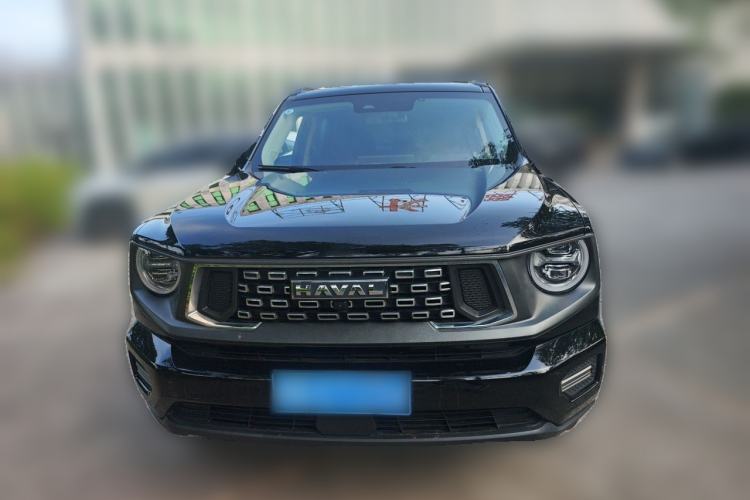 Used Haval H Dog 2023 2.0T Two-Wheel Drive Chaoye Version Plus Front