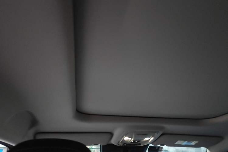 Used Haval H Dog 2023 2.0T All-Wheel-Drive Chaoye Plus Headliner
