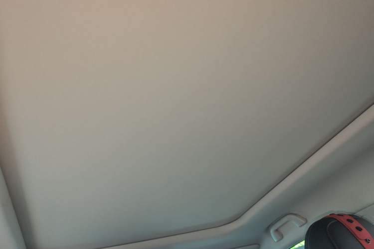 Used Haval H Dog 2023 2.0T All-Wheel-Drive Chaoye Plus Headliner