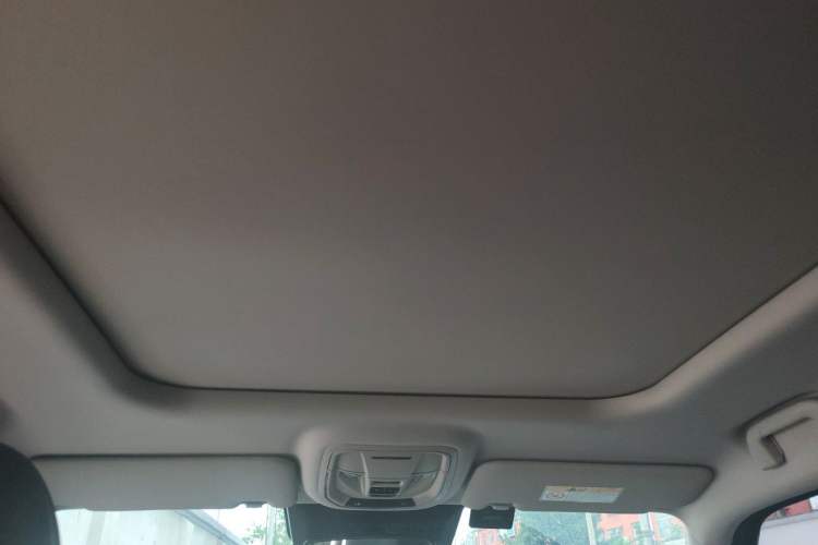 Used Haval H Dog 2023 2.0T All-Wheel-Drive Chaoye Plus Headliner
