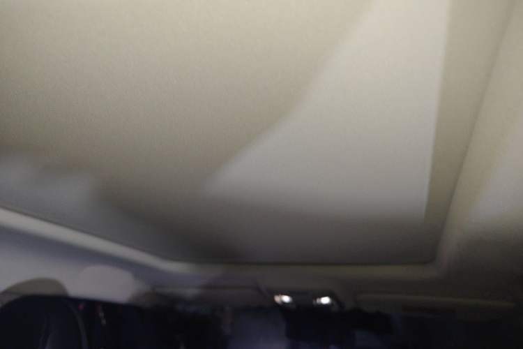 Used Haval H Dog 2023 2.0T All-Wheel-Drive Chaoye Plus Headliner