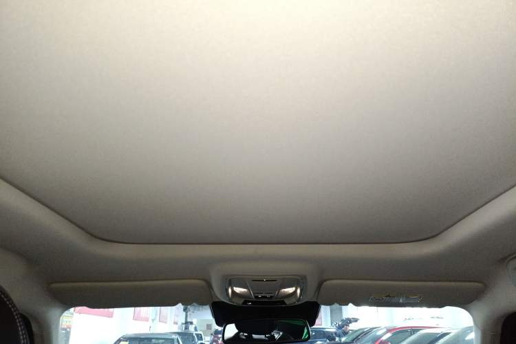 Used Haval H Dog 2023 2.0T All-Wheel-Drive Chaoye Plus Headliner