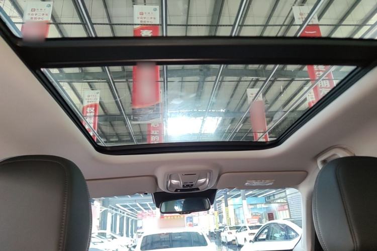 Used Haval H Dog 2023 2.0T All-Wheel-Drive Chaoye Plus Headliner