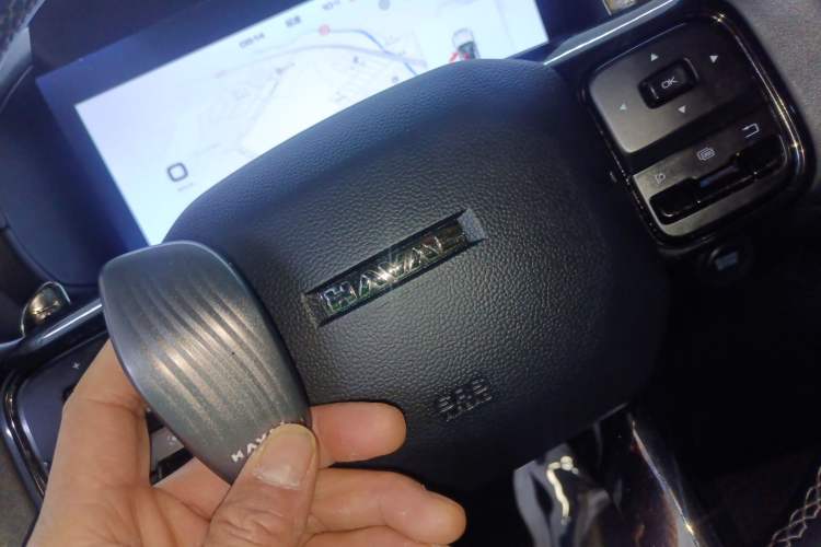 Used Haval H Dog 2023 2.0T Two-Wheel Drive Trendy Outdoor Edition Interior 1