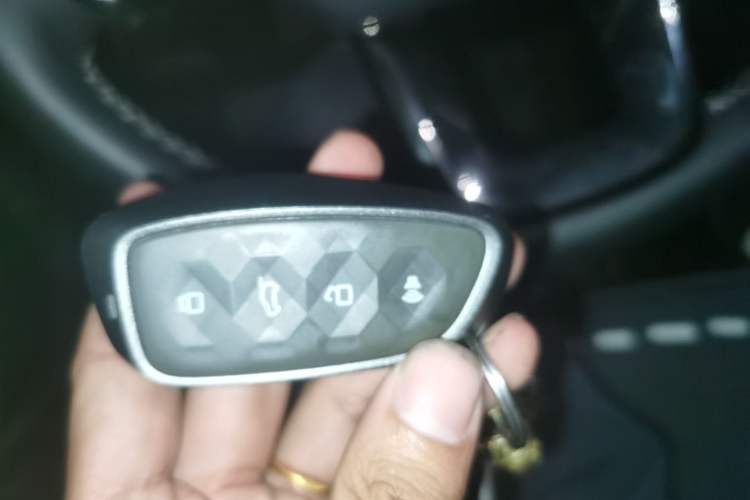 Used Haval H Dog 2023 1.5T Two-Wheel Drive Chao Ye Version Plus Interior 1