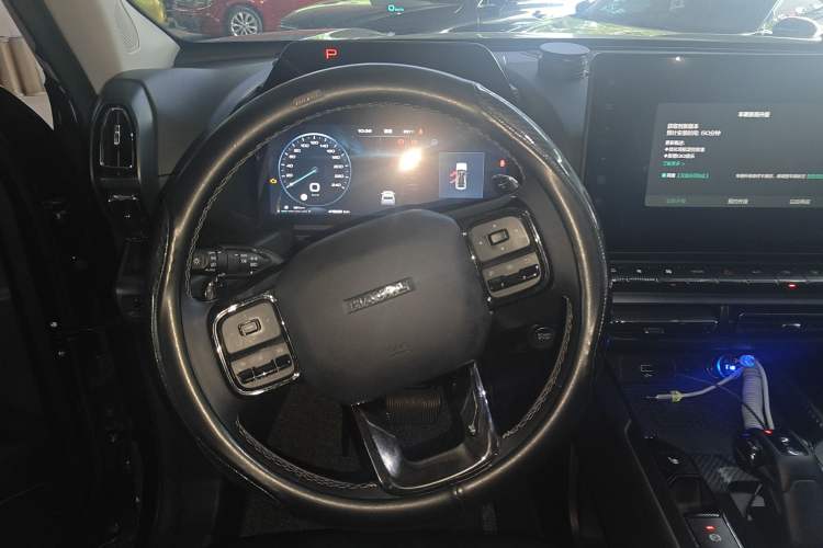 Used Haval H Dog 2023 2.0T Two-Wheel Drive Chaoye Version Plus Interior 3