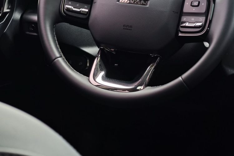 Used Haval H Dog 2023 2.0T All-Wheel-Drive Chaoye Plus Interior 7