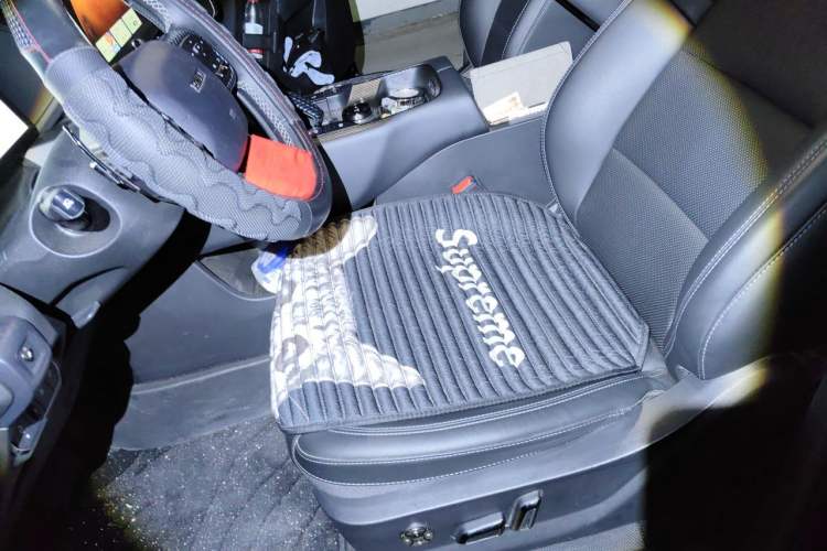 Used Haval H Dog 2023 2.0T Two-Wheel Drive Chaoye Version Plus Left Front Seat