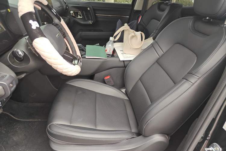 Used Haval H Dog 2023 1.5T Two-Wheel Drive Chao Ye Version Plus Left Front Seat
