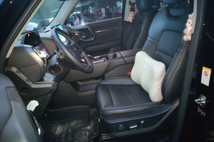 Used Haval H Dog 2023 2.0T All-Wheel-Drive Chaoye Plus Left Front Seat