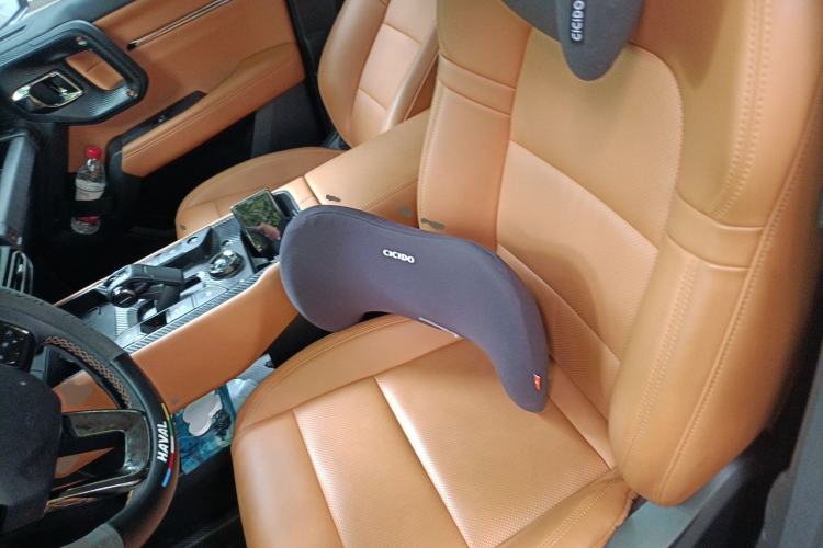 Used Haval H Dog 2023 2.0T All-Wheel-Drive Chaoye Plus Left Front Seat
