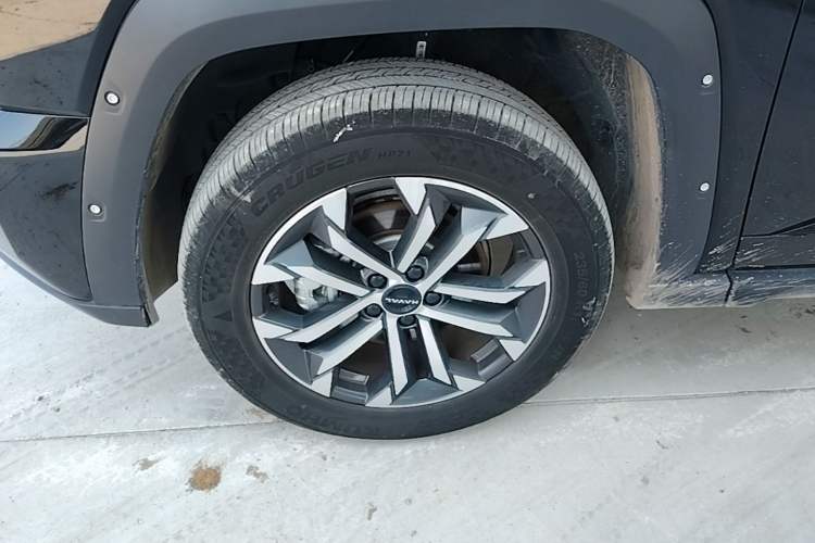 Used Haval H Dog 2023 2.0T Two-Wheel Drive Chaoye Version Plus Left Front Wheel Hub