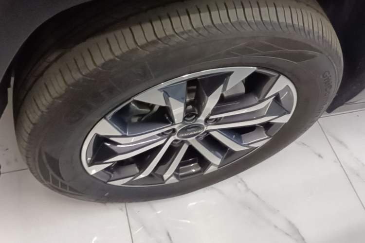Used Haval H Dog 2023 2.0T Two-Wheel Drive Chaoye Version Plus Left Front Wheel Hub