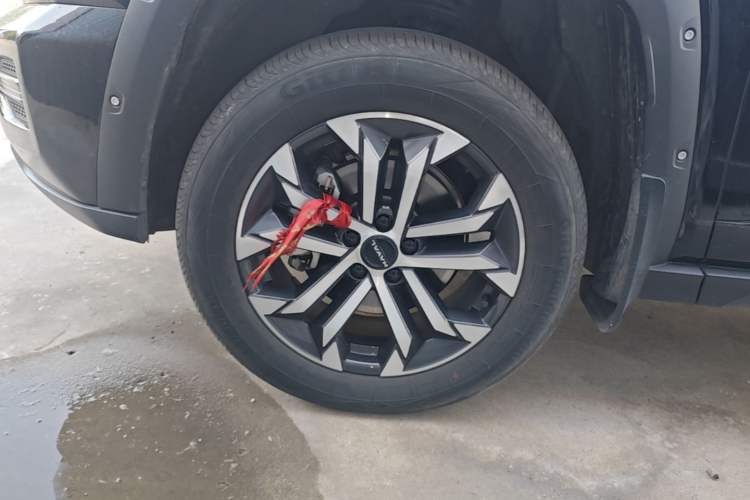Used Haval H Dog 2023 2.0T Two-Wheel Drive Chaoye Version Plus Left Front Wheel Hub