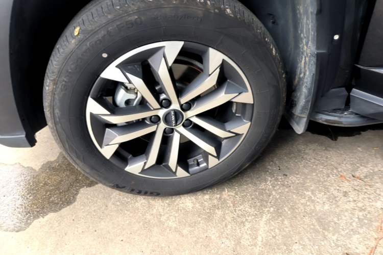 Used Haval H Dog 2023 2.0T Two-Wheel Drive Chaoye Version Plus Left Front Wheel Hub