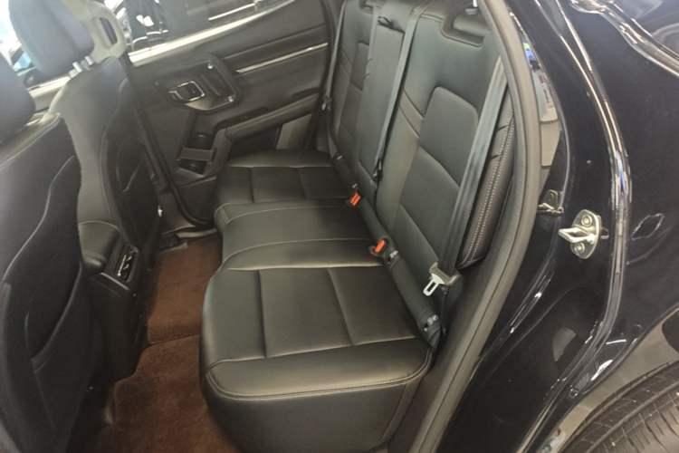 Used Haval H Dog 2023 1.5T Two-Wheel Drive Chao Ye Version Plus Left Rear Seat