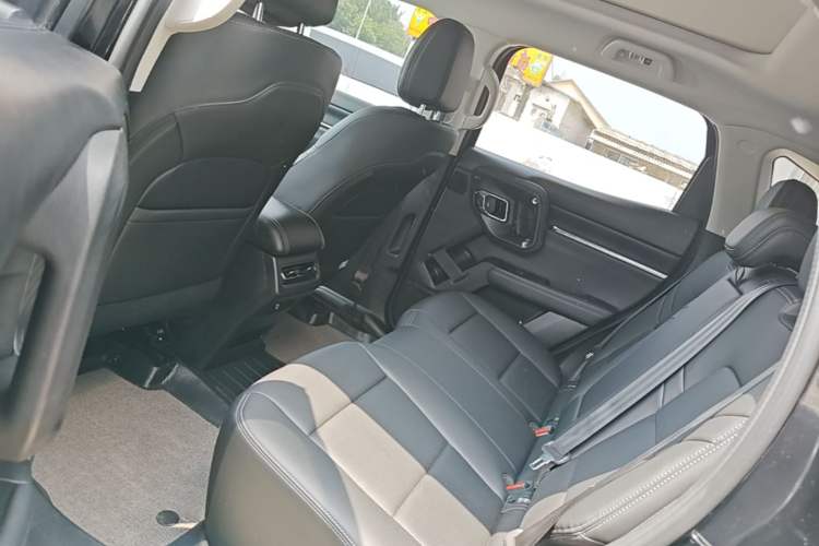 Used Haval H Dog 2023 2.0T Two-Wheel Drive Chaoye Version Plus Left Rear Seat