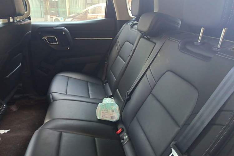 Used Haval H Dog 2023 2.0T Two-Wheel Drive Chaoye Version Plus Left Rear Seat