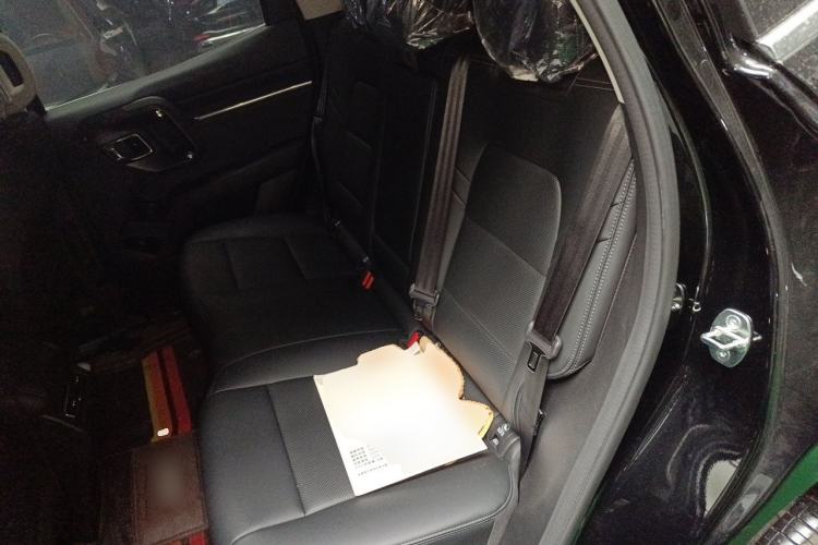 Used Haval H Dog 2023 2.0T All-Wheel-Drive Chaoye Plus Left Rear Seat