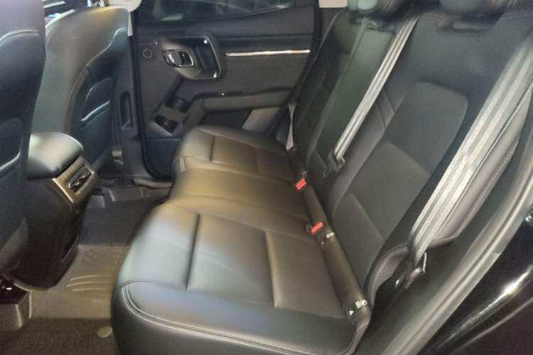 Used Haval H Dog 2023 2.0T All-Wheel-Drive Chaoye Plus Left Rear Seat