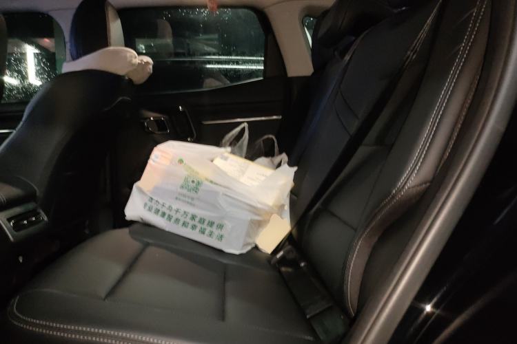 Used Haval H Dog 2023 2.0T All-Wheel-Drive Chaoye Plus Left Rear Seat