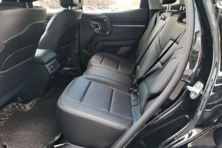 Used Haval H Dog 2023 2.0T Two-Wheel Drive Chaoye Version Plus Left Rear Seat