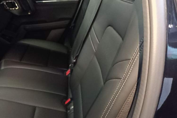 Used Haval H Dog 2023 2.0T Two-Wheel Drive Chaoye Version Plus Left Rear Seat