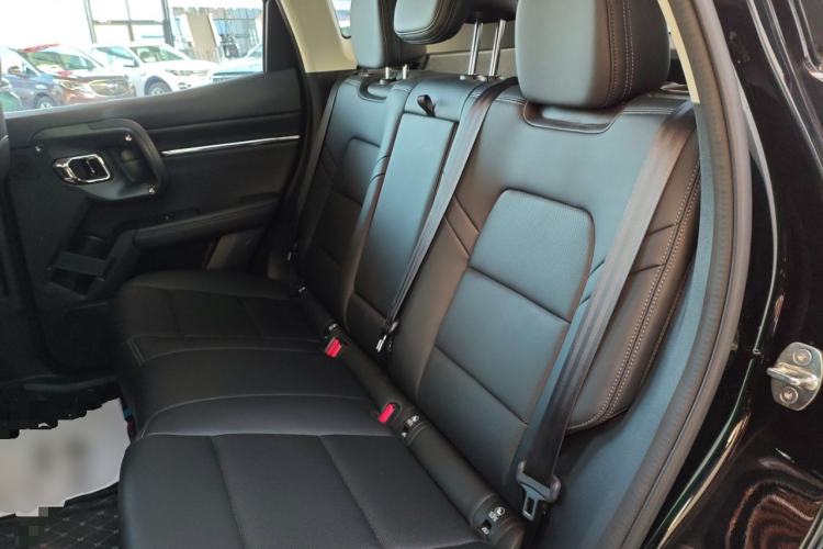 Used Haval H Dog 2023 2.0T Two-Wheel Drive Chaoye Version Plus Left Rear Seat