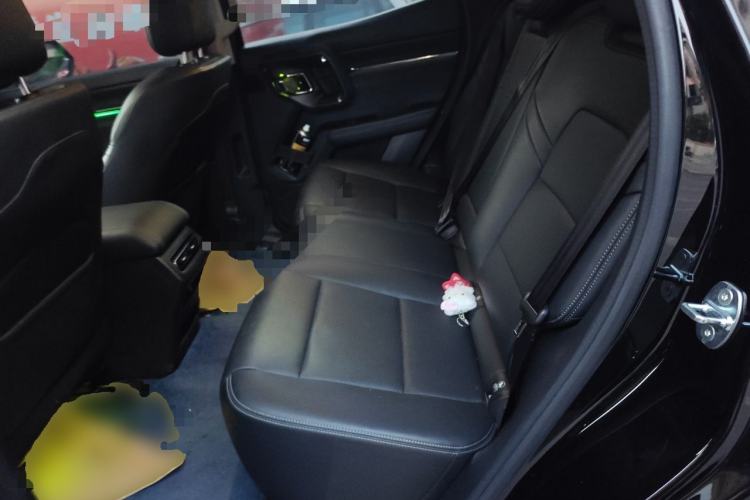 Used Haval H Dog 2023 2.0T All-Wheel-Drive Chaoye Plus Left Rear Seat