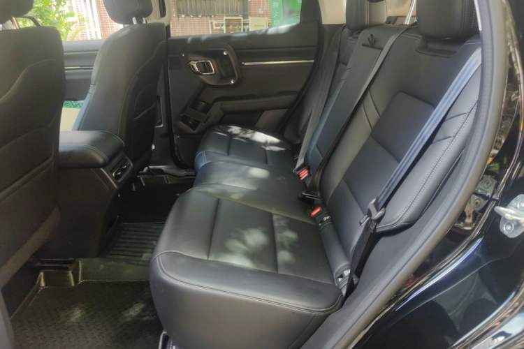 Used Haval H Dog 2023 2.0T Two-Wheel Drive Chaoye Version Plus Left Rear Seat