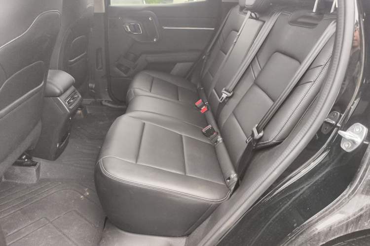 Used Haval H Dog 2023 2.0T Two-Wheel Drive Chaoye Version Plus Left Rear Seat